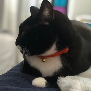 Meet your Posher, Ryan